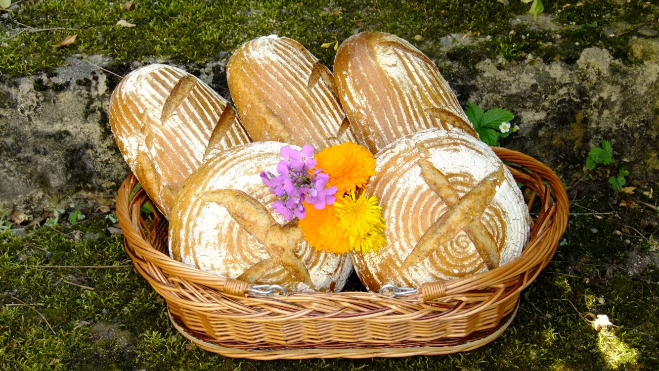 Kmínový kváskový chléb střední 910 g