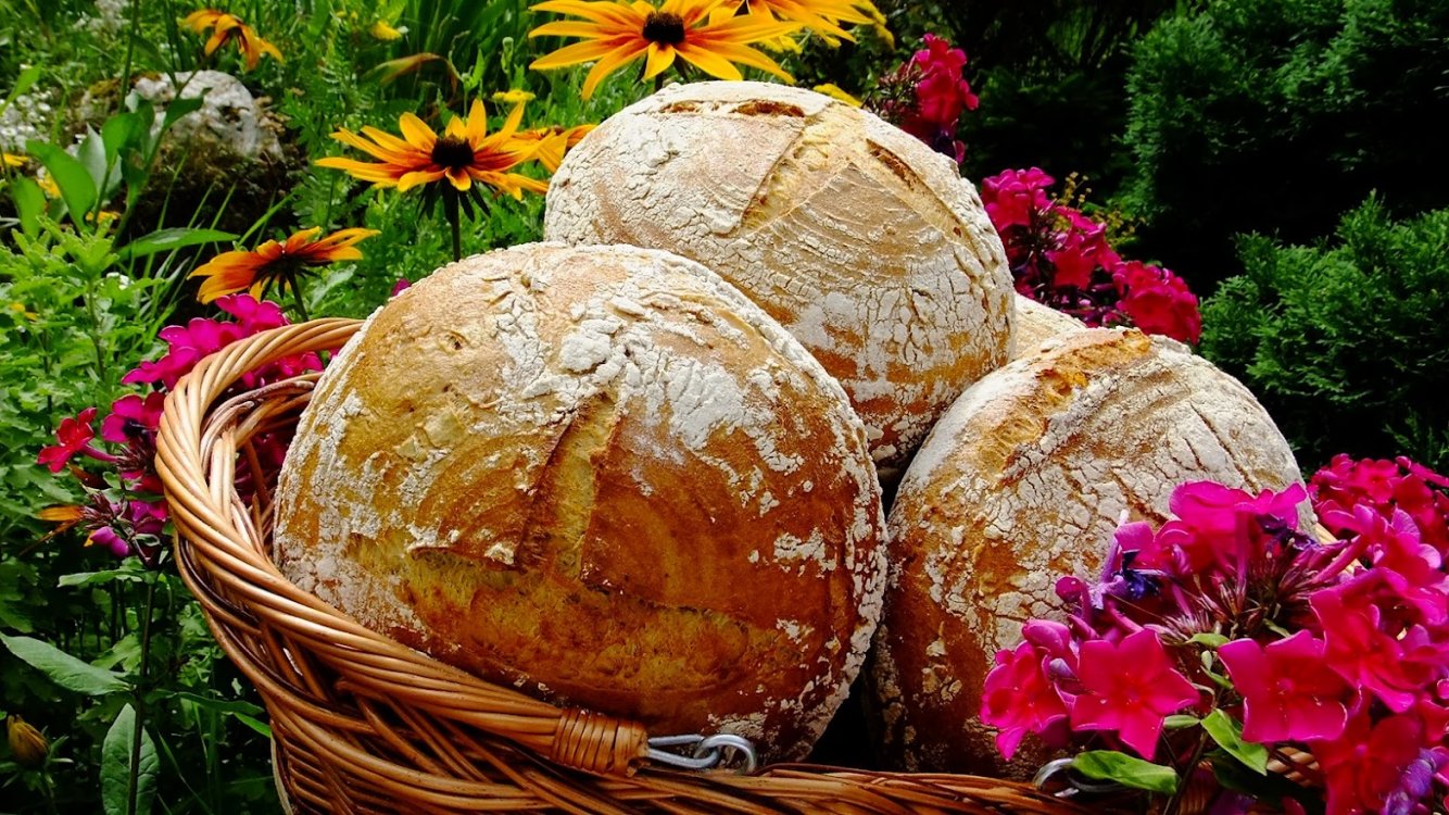 Selský chléb kváskový se záparou